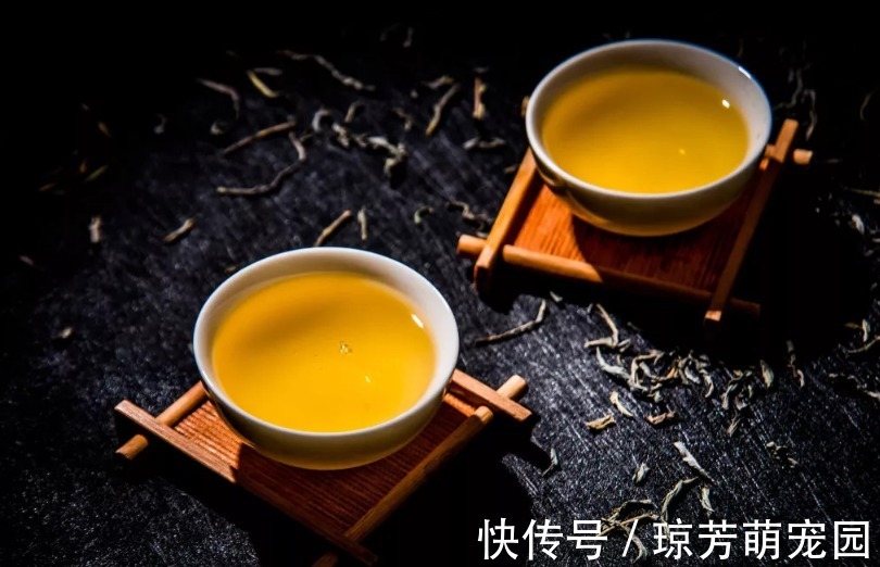 茶性|立秋后還在亂喝茶？秋季養生喝什么茶好？為何秋天要多喝茶？