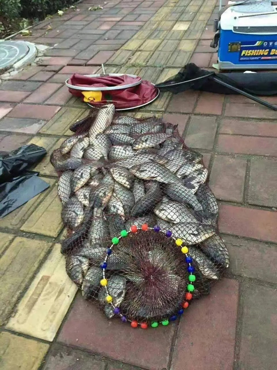 不改掉这5个钓鱼坏习惯,水里有鱼你也钓不上来!