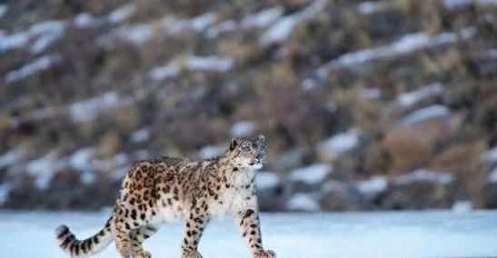 事情 最担心的事情还是发生了！地球警告：保护环境迫在眉睫