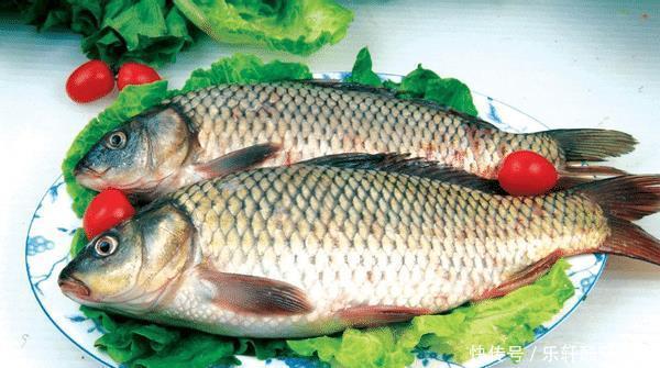 买鲤鱼时,“胖”的好还是“扁”的好3个小技巧,避开挑选误区