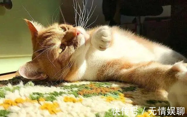 抗生素|助你提升阳气的小方法