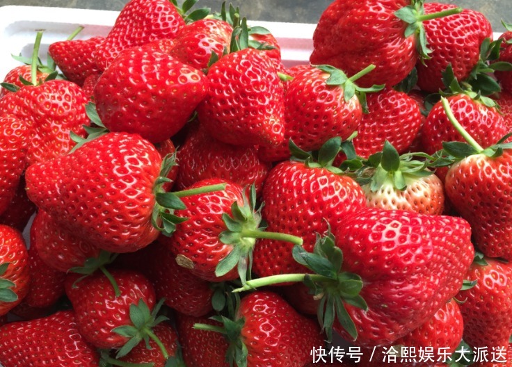 缓解|有3种水果孕妈可以当零食吃，能缓解孕吐，对孩子大脑发育也有利