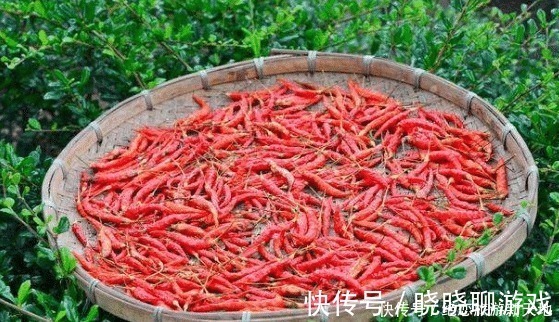 怀孕期间|孕妇能不能吃辣吃辣需要注意什么,你都了解吗