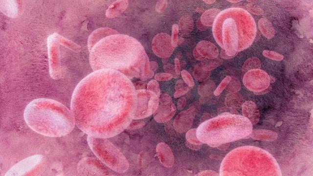 血脂升高|每天吃点花生，降血脂还是升血脂今天来告诉你答案