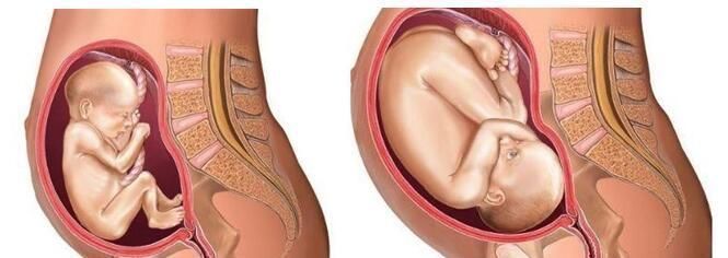 补充营养|孕晚期是胎儿“猛涨期”,孕妈身上这些反应,需要补充营养了