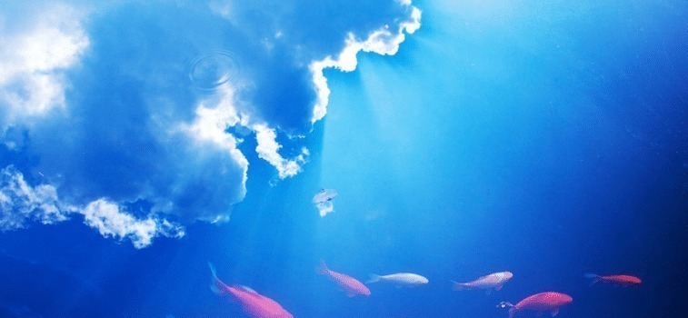 习惯&佛法真正厉害之人,一般有四个不起眼的习惯,有其一,也得祝贺!