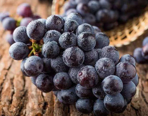 肝脏|“它”是天然的“解毒王”,每天吃一些,养肝排毒,肝好人健康!