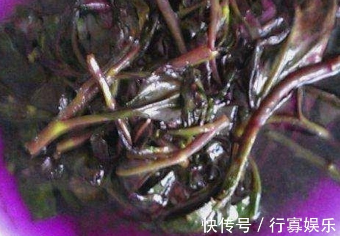 野菜|农村的这种可口野菜，妈妈经常种，长大了才知道它的名字和价值！