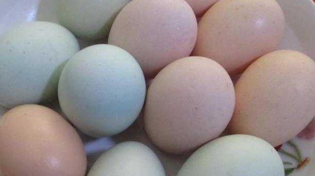 水果|想长寿得会吃，推荐吃4种水果，美容养生，调理血气，营养又健康