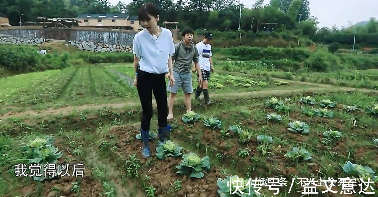 《向往》造假嚴(yán)重蘿卜現(xiàn)種的，魚塘現(xiàn)挖的，全靠工作人員搞衛(wèi)生