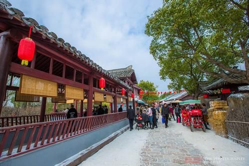 屋檐、地面雪白一片，大朵“雪花”从天而降，浙江宁波下雪了