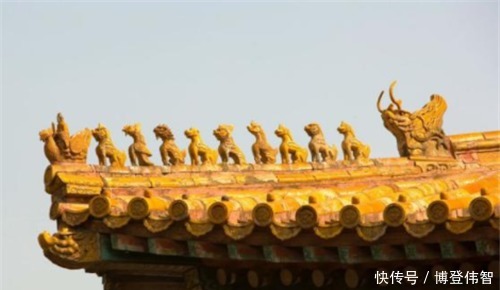 故宫屋顶为何没有鸟屎?专家道破玄机后,网友:老祖宗真聪明