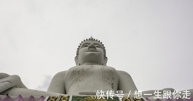 苦尽甘来|生肖牛运势节节高涨，霉运退散，下半年将会苦尽甘来