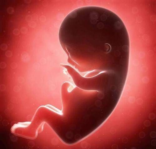 医生|明明产检是女孩,怎么生后变男孩?“女转男”原因无非是这三点。