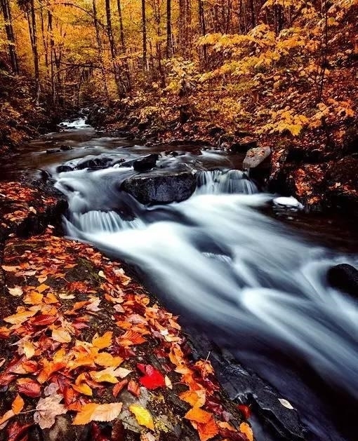 中老年人|50岁以后，不要自作多情
