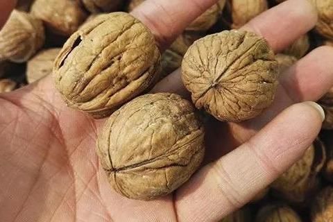 蜂王浆|女人缺乏雌激素 会有哪些异常 如何补充雌激素 60岁不显老