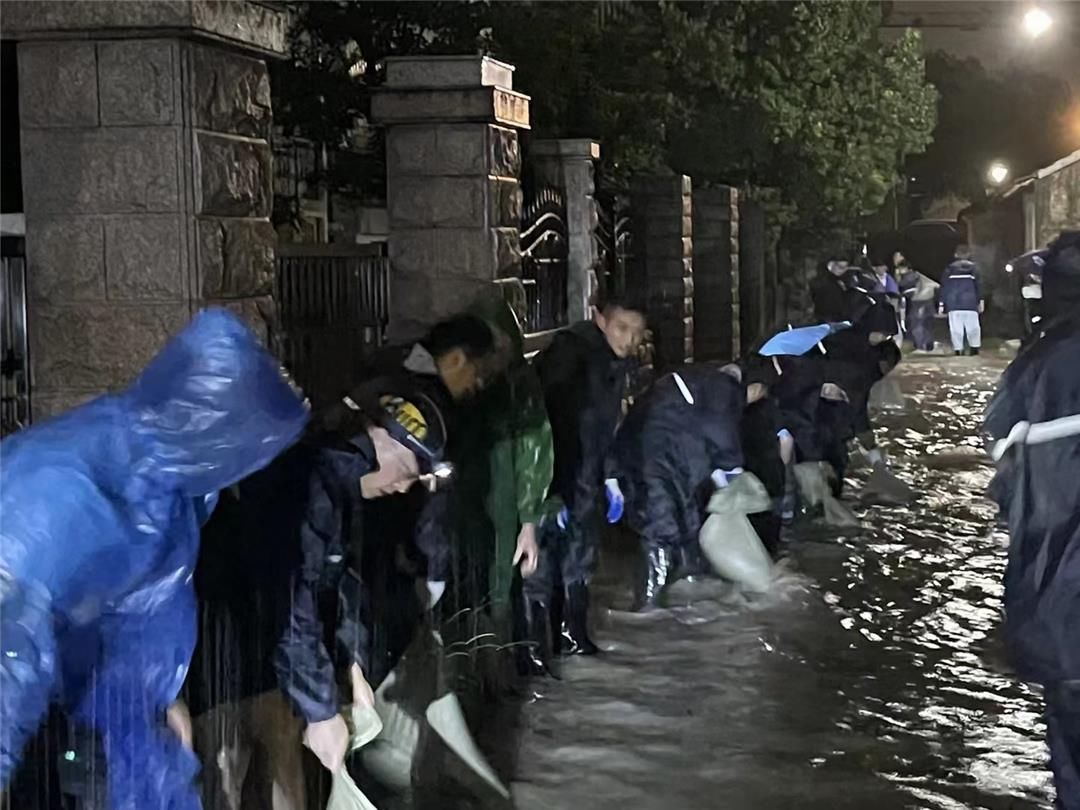 流水线|党团接令“出战” 携手奔赴一线 筑起深夜“流水线”