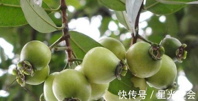 维生素p|人到中年要学会多吃3种食物,排毒抗衰,降压减脂,预防血管疾病