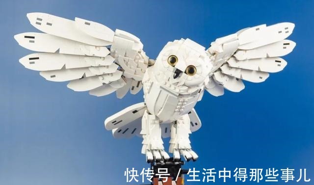 羽毛|乐高哈利波特76391霍格沃茨经典藏品开箱评测!