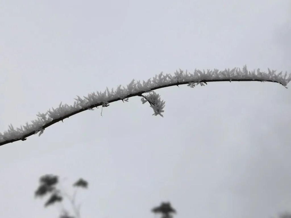 地方|汶川下雪了！这些地方，你最想去哪个？