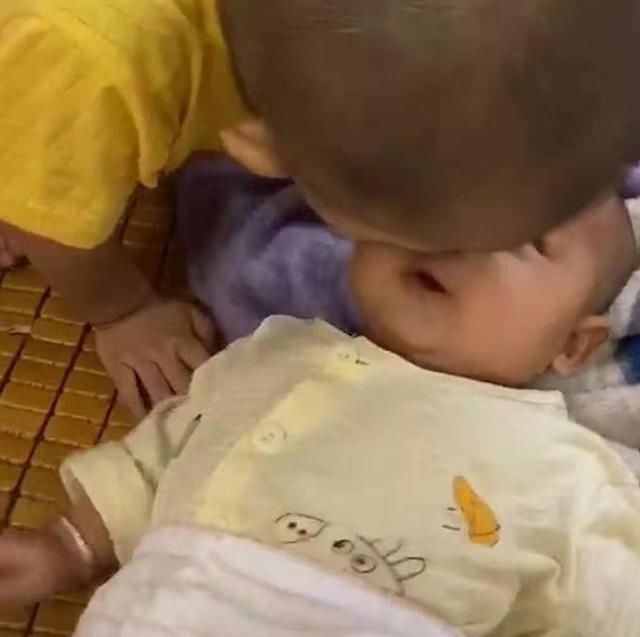 弟弟|3个月弟弟被1岁多的哥哥这样哄，网友直呼这是什么神仙兄弟情