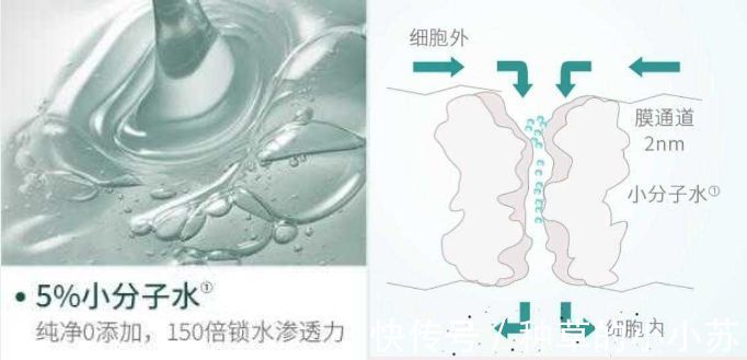 防腐剂|种草 丨你的洗面奶选对了吗?这里有敏感肌也能用的洗面奶