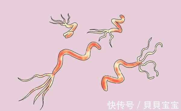 生存期|癌症的治疗效果，跟什么有关？生存期长的患者，有哪些共性？