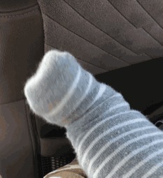 |搞笑GIF:娶了个这样的媳妇真是无语了啊,欢乐无限多呢