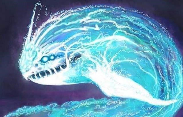 银龙王|斗罗大陆魂兽排行榜,深海魔鲸没能排进前三,第一位实力非常恐怖