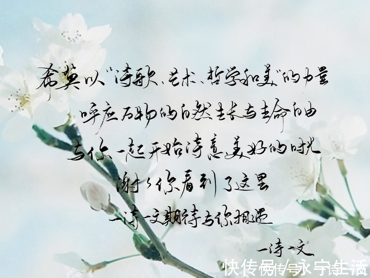 人生|既然人类微渺得如同一只蜉蝣,那么人生须臾,不如绽放