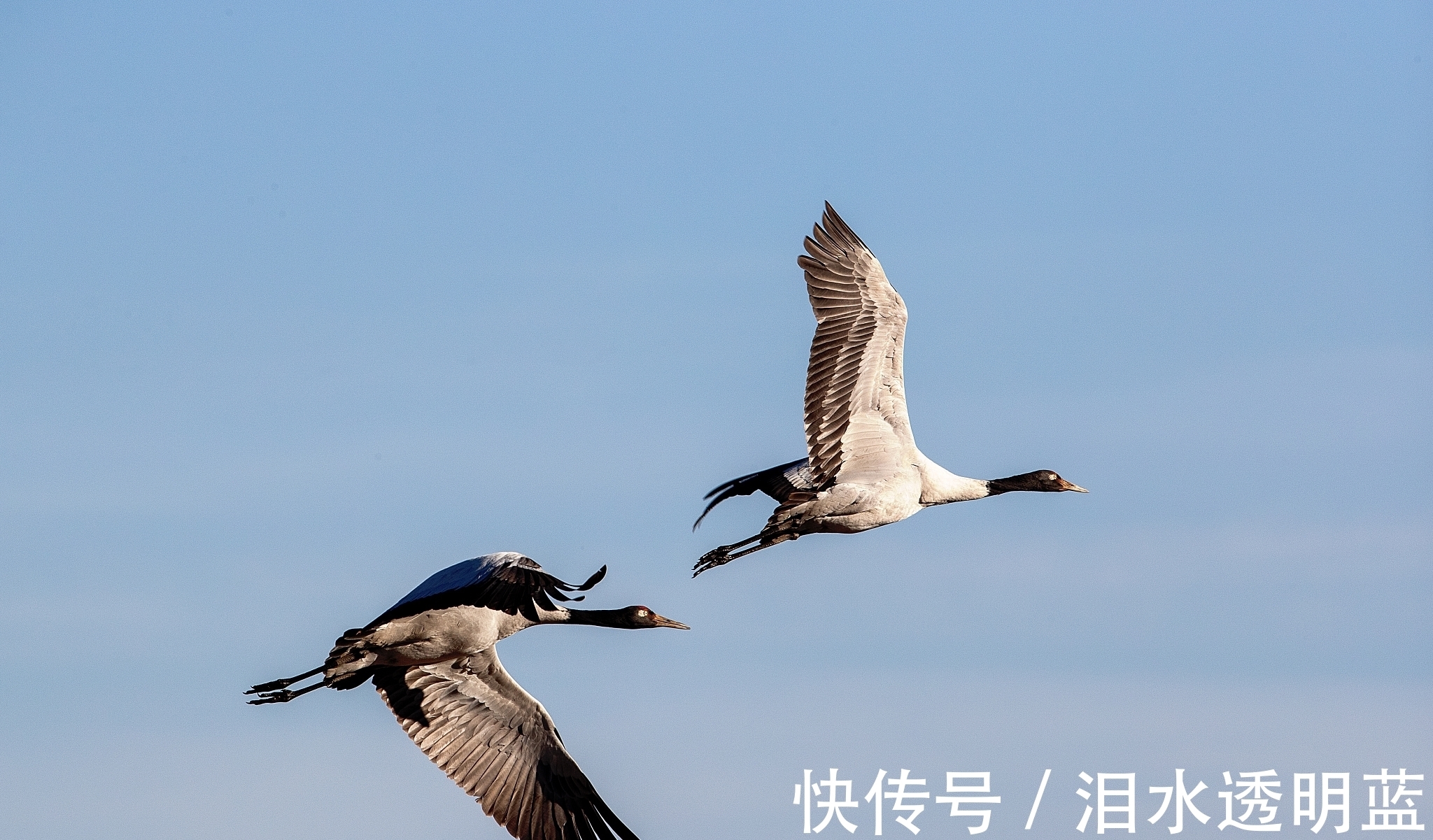 天底下$老子:道是老子的核心思想,这就要求我们,凡事都应遵循道的规律