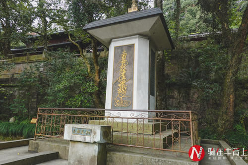 浙江深山发现一古寺，门票5元吃饭2元，被网友好评点赞