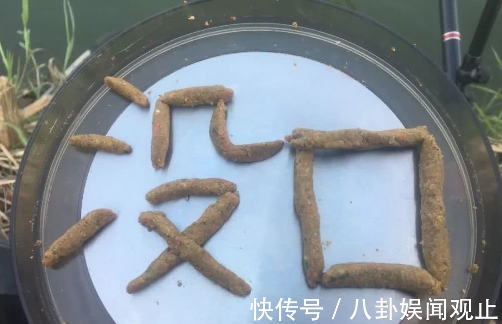 鱼儿|冬季钓鱼半天没一口？教你4招，鱼口越钓越多