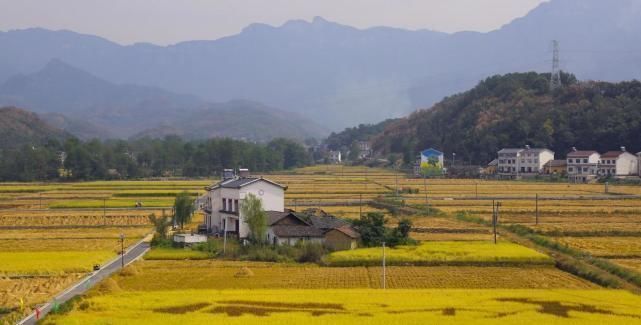 宅基地|农村不动产权证陆续下发，这些内容必须看清，否则吃亏的是自己