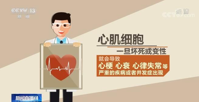 患者|我国心血管病患者超3亿 4方面着手可有效保护心脏
