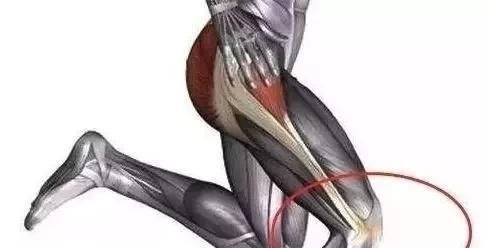 膝盖|膝盖真的是越用磨损越厉害吗 膝盖不好真的就不能动了吗