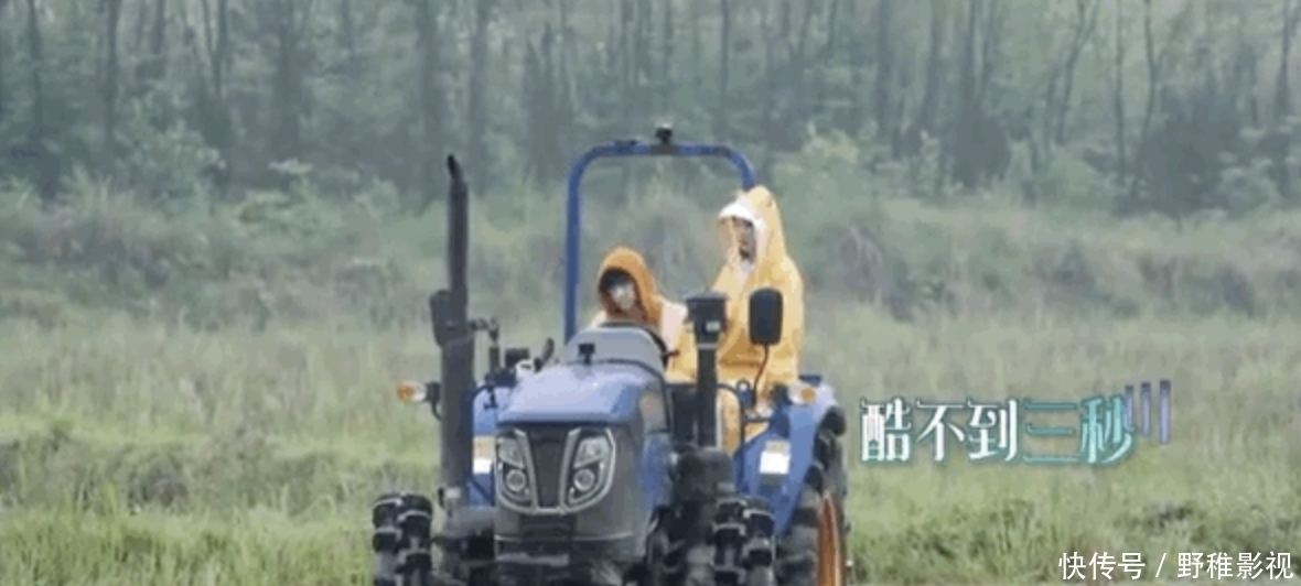 张艺兴|节目组搞事情!杨紫张艺兴本欲澄清绯闻,反被节目磕出CP感