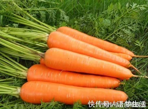 食物|想长寿全靠吃，4种食物不能少，排毒养颜，早吃早受益