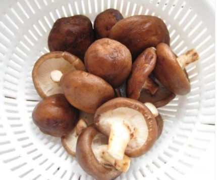 洗香菇不能直接用清水,教你一个小妙招,香菇清洗干净,吃着放心