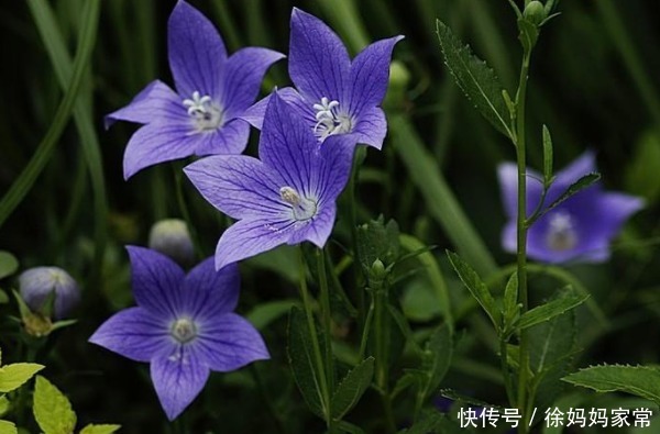 俗话说:天无绝人之路,霉运降临时牢记4句话,必将财福满满!