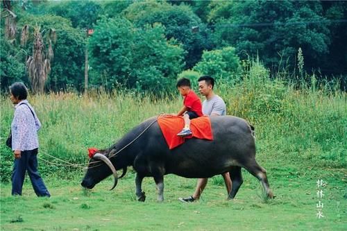 来桂林旅游，这个小众景点，不花钱就可以拍到最美的风光大片