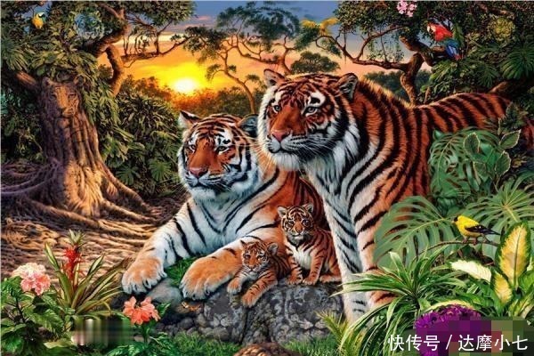 经典老年痴呆测试题30秒能找到12只老虎的恭喜,大脑没毛病