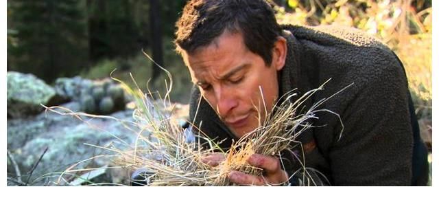 贝尔|还记得“食物链顶端”的贝爷吗?曾经爆红的他,为何突然消失了?