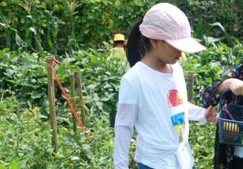 父母|孩子若从小有4个“坏毛病”，父母无需生气，将来可能更有出息