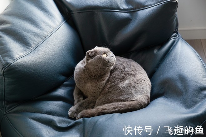餐厨|62㎡小户型解读年轻人眼中的家