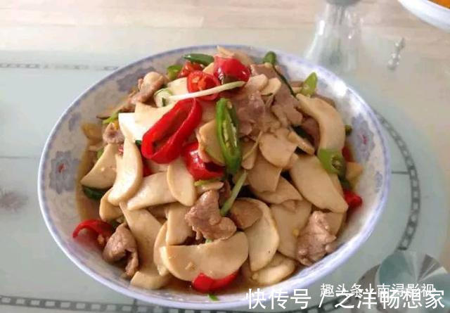 杏鲍菇|整理23款佳肴推荐，鲜香味美，下酒下饭，家人经常提名要吃