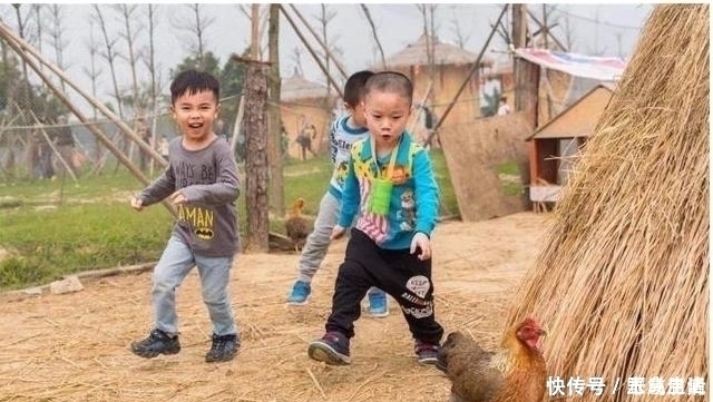 哥哥|把妹妹托付给乡下的姥姥，把哥哥给乡下奶奶，几天后，妈妈笑喷了