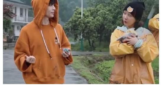 现实|杨紫一人录三期，11个小艺人录一期，《向往》揭露红与不红的现实