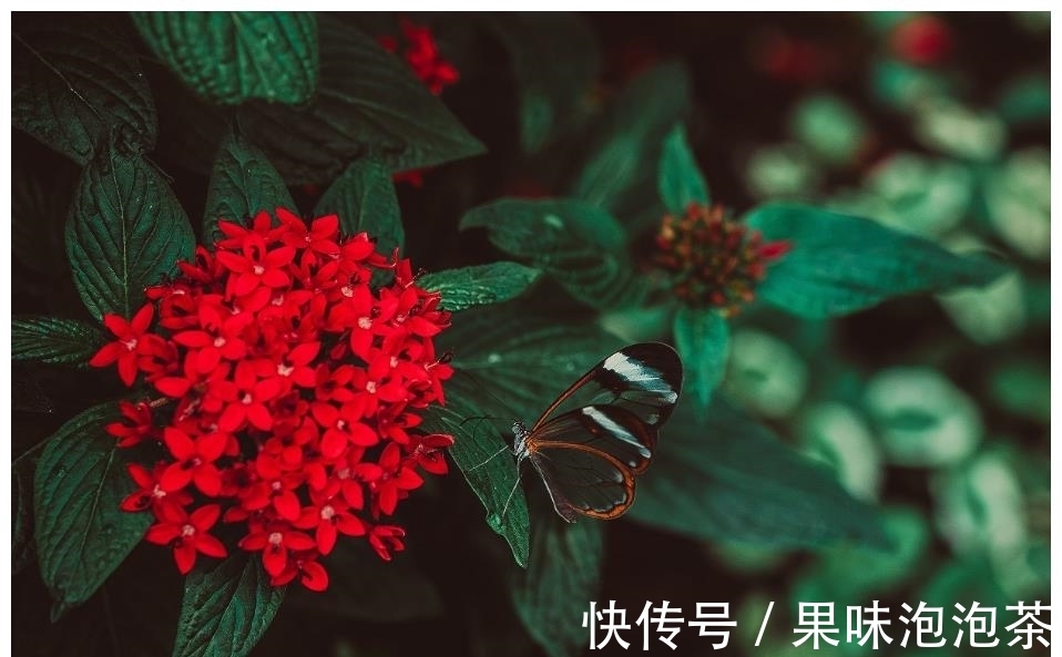 旧爱|7月下旬，执手旧爱，两心相依，大胆付出，3生肖无问西东，爱到