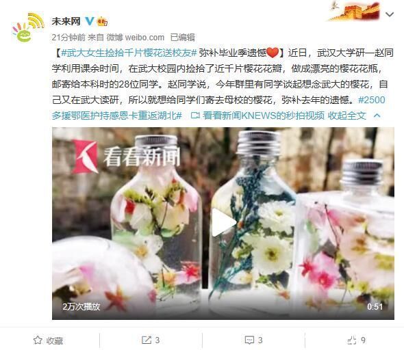 武大女生捡拾千片樱花送校友 弥补毕业季遗憾